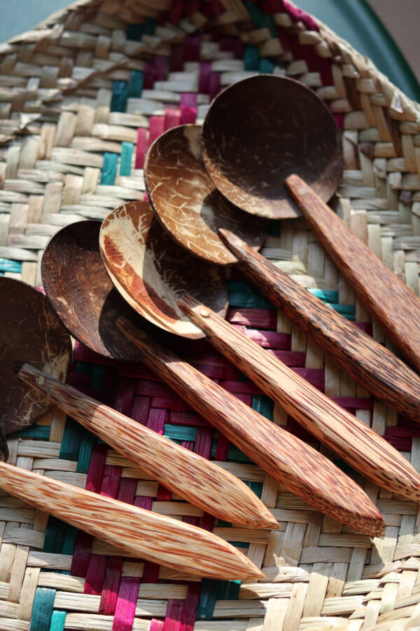Ceylon Coconut Spoon (S)
