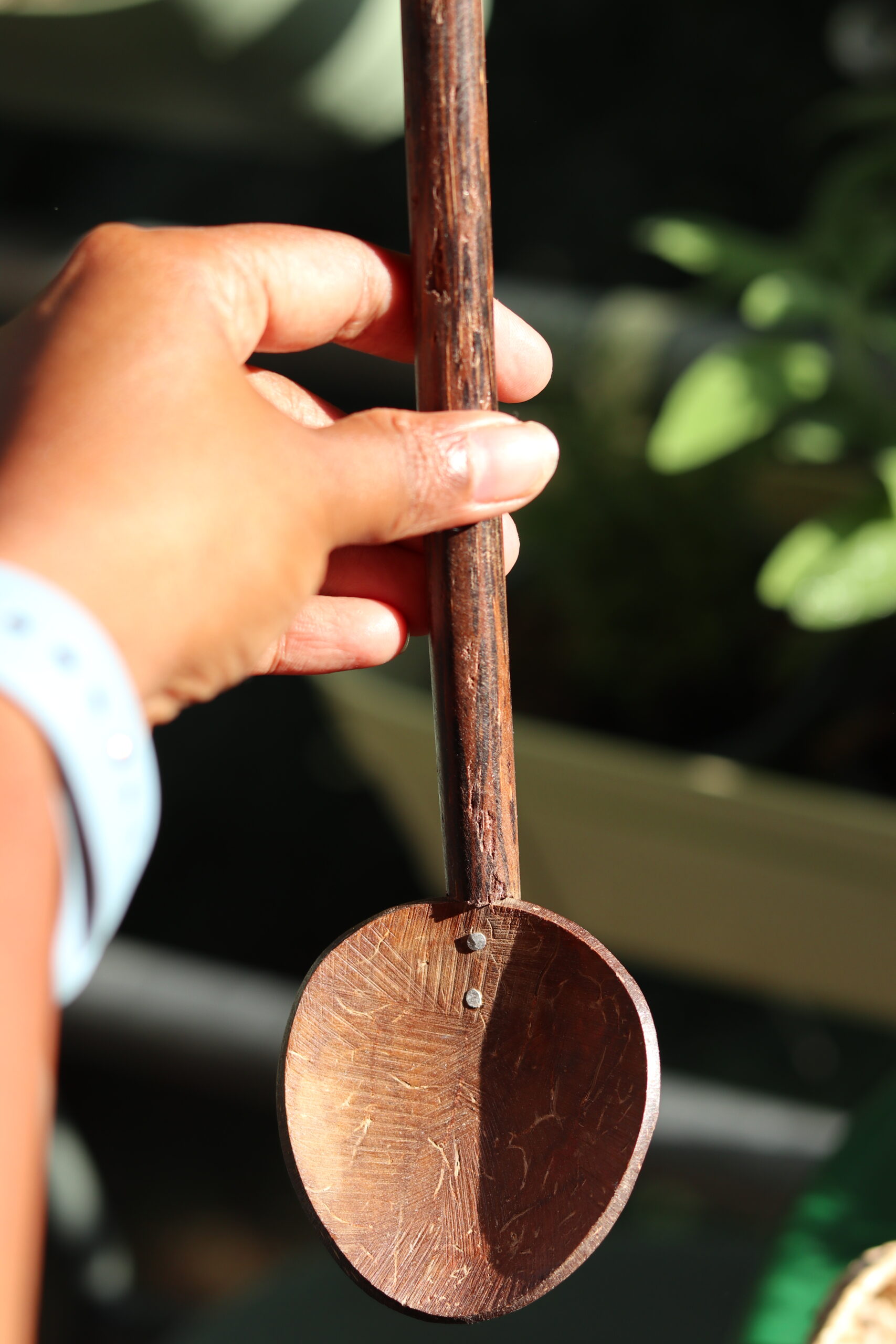 Kithul Handle Coconut Spoon (M) - Image 4