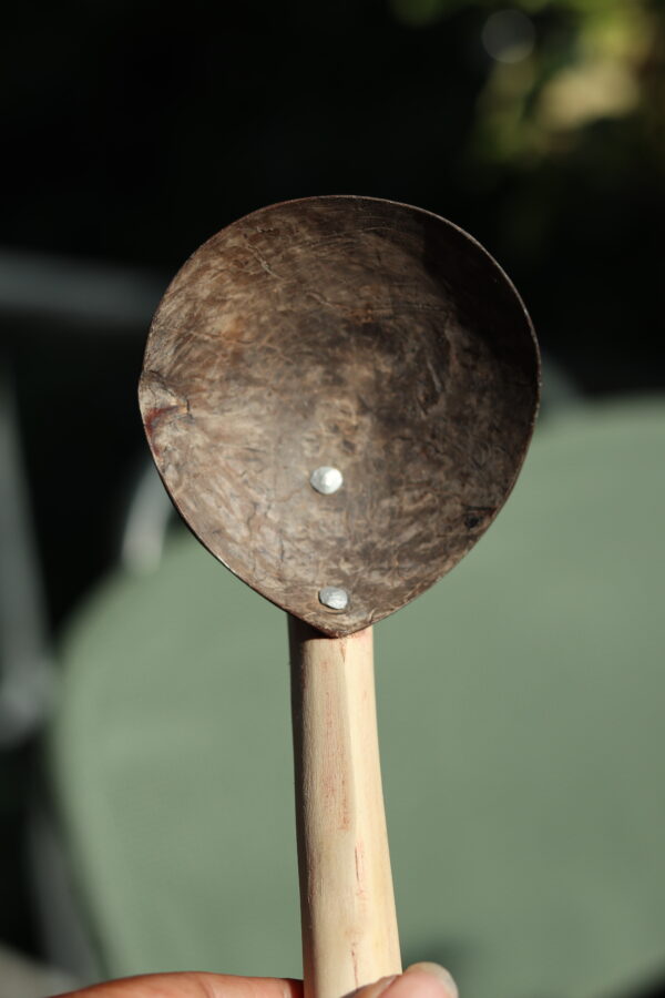 Coconut Spoon with wooden handle (L) - Image 4